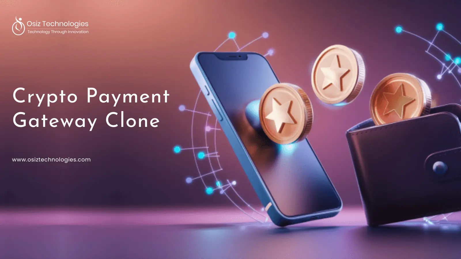 SpicePay Clone Script SpicePay Clone Script