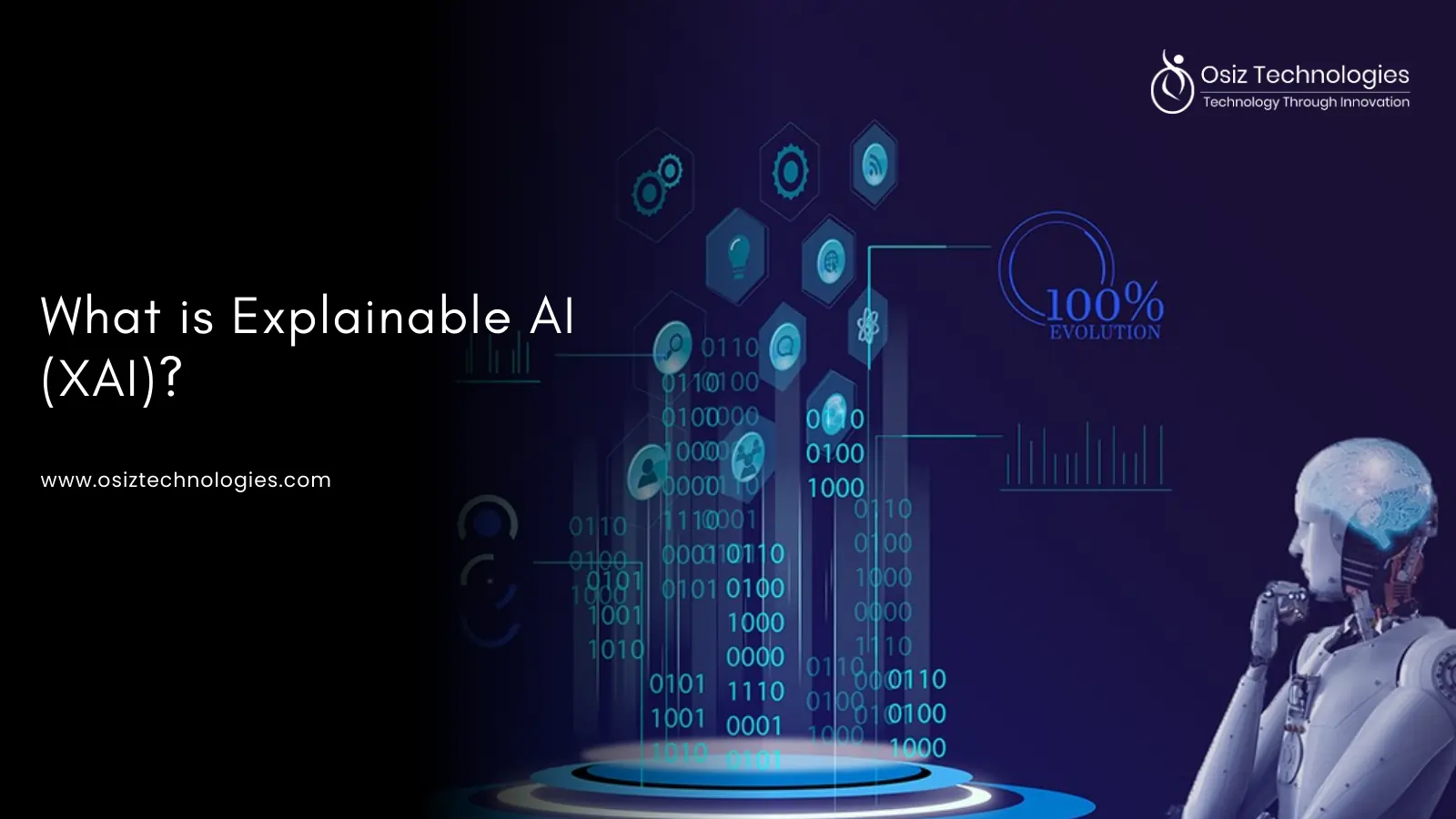 Explainable AI Explainable AI