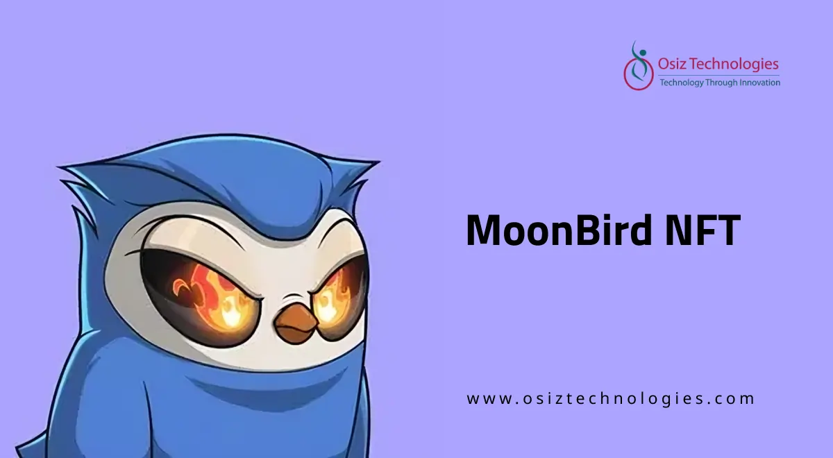 What is Moonbirds NFT What is Moonbirds NFT