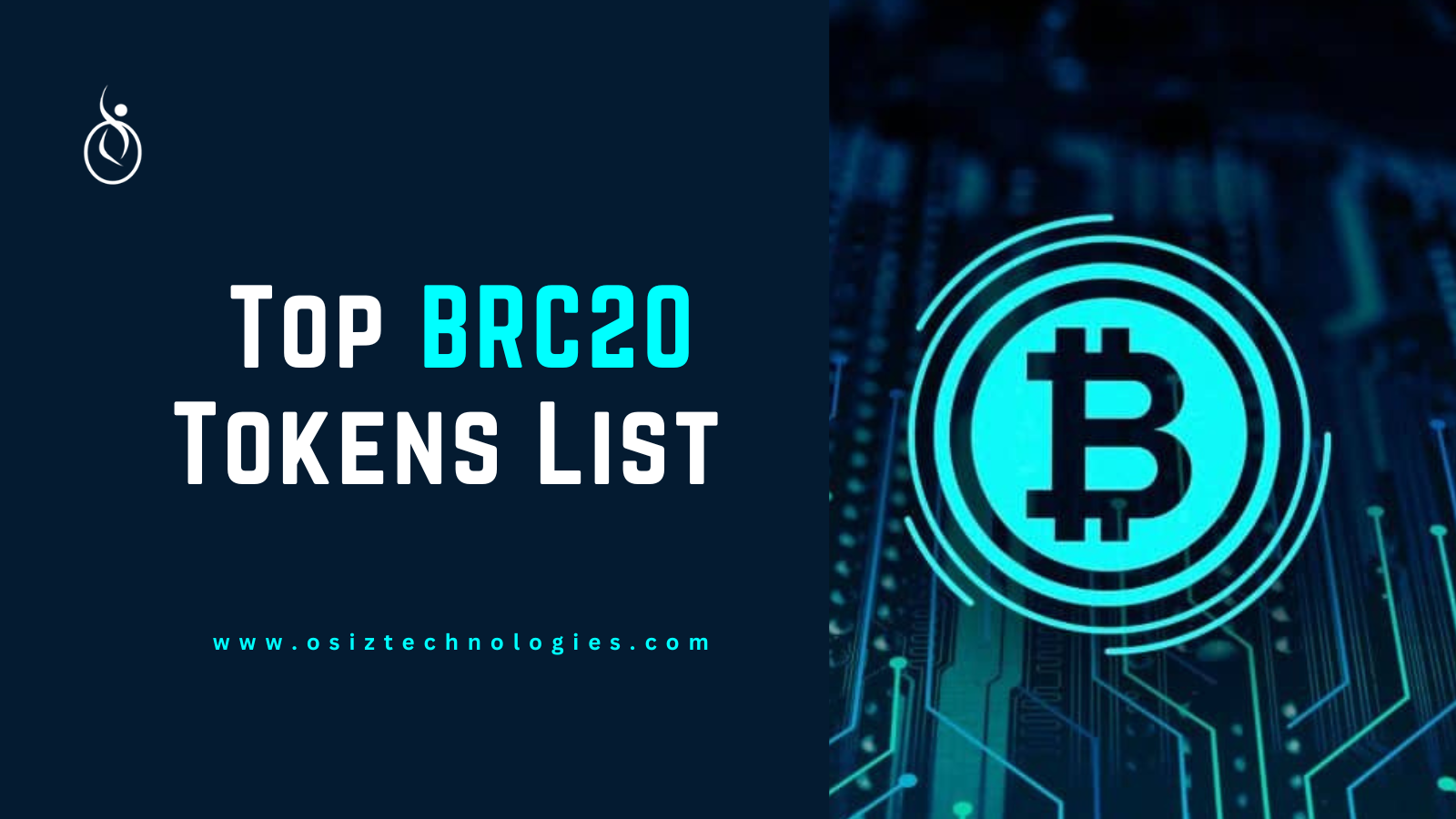top-brc20-tokens-list top-brc20-tokens-list